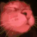 catJam emote