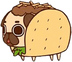taco_dog emote