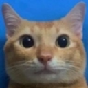 MyReactionToThis static emote