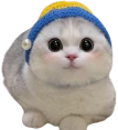 333 emote