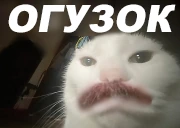 OGUZOK emote