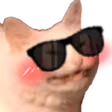 cattosunglass emote