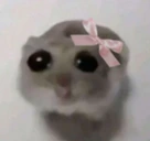 girl emote