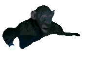 ohno emote