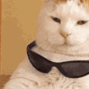 ezCat animated emote
