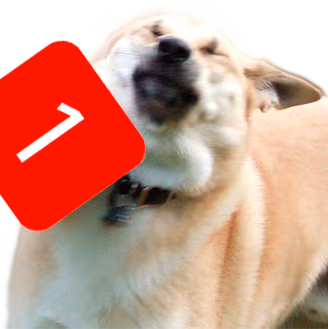 ping emote