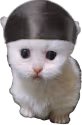 duragpert emote