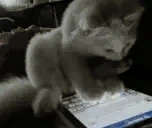Chatting emote