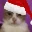 ChristmasCatStare emote