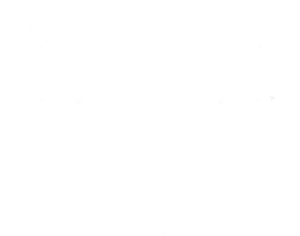 Vanguard static emote