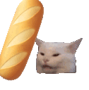 bonk animated emote