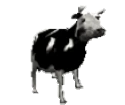 CowJam emote