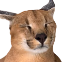 Sleepy_Floppa emote