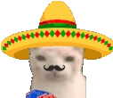 MuchoGato emote