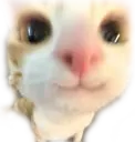 33 emote