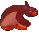 pinguDisco emote