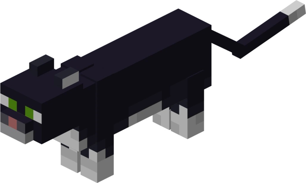 blackcatmc emote
