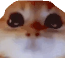 RAGEY emote