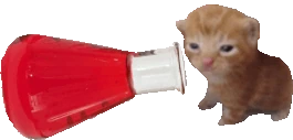 red40bert emote