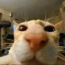 gug emote