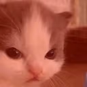 notHehe emote