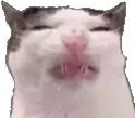 eww emote