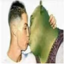 KissAShrek emote