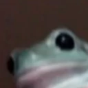 frog emote