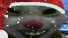 xdd emote