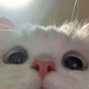 LOOKING emote