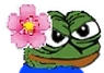 Madgia emote