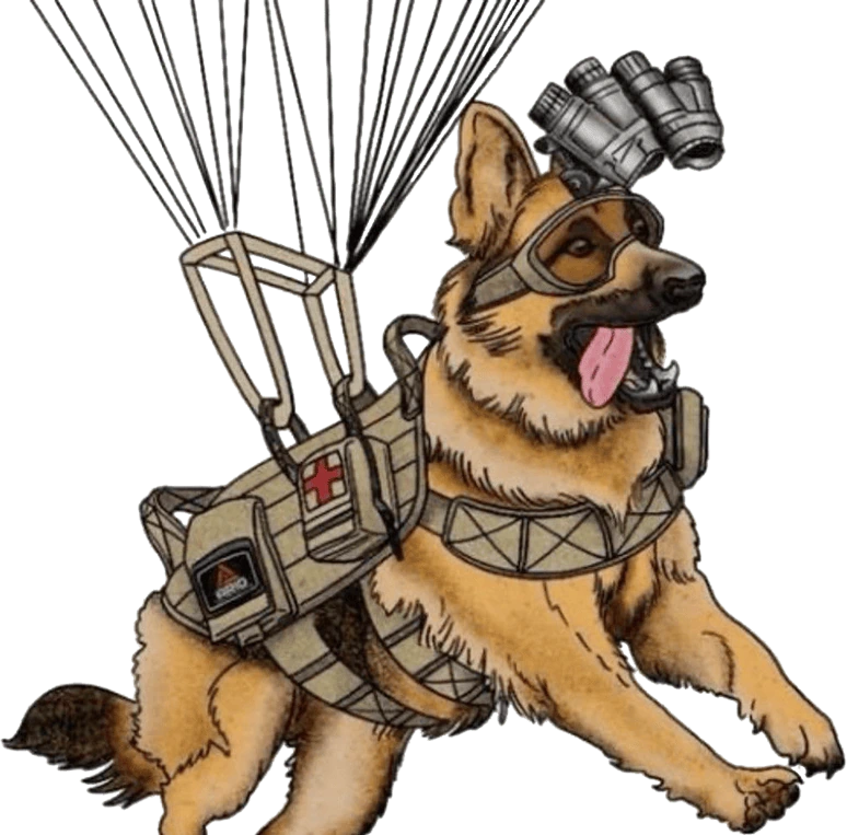 Military_SkyDiveDog emote