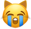 cat_sob emote