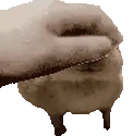 PETTHEGORT emote