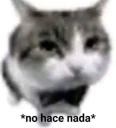 noHaceNada emote