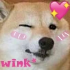 dog_wink emote
