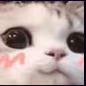 NotGuilty emote