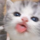 blehhh emote