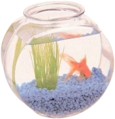 cutefishbowl emoji