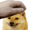 CheemsPet emote