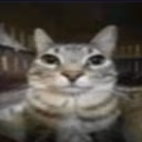 Nutz emote