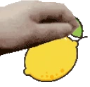 PETTHELEMON emote