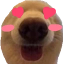 doggylovesyou emote