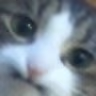 CE_Didnotlaugh emote