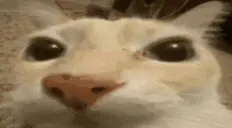 otagboom emote