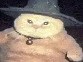 fatasswizardcatshiftsintozayi emoji