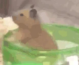 MOVEMENT emote
