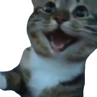 happy_cat emote