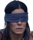 BirdBox_Blind emote