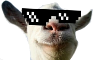 goated emote